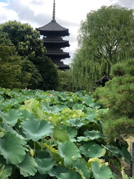 京阪電車に投稿された画像（2023/8/6）
