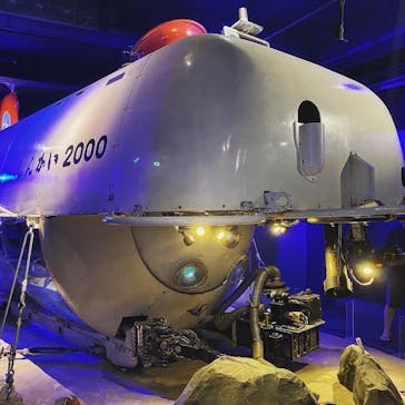 新江ノ島水族館に投稿された画像（2023/8/6）