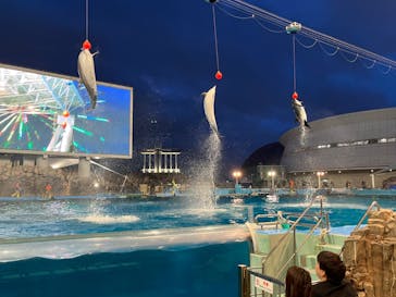 名古屋港水族館に投稿された画像（2023/8/6）