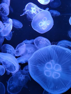 AOAO SAPPOROに投稿された画像（2023/8/6）