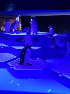 AOAO SAPPOROに投稿された画像（2023/8/6）