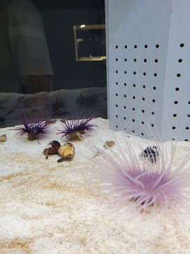 AOAO SAPPOROに投稿された画像（2023/8/6）