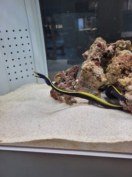 AOAO SAPPOROに投稿された画像（2023/8/6）