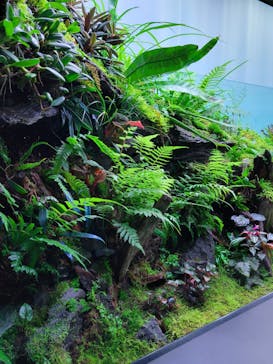 AOAO SAPPOROに投稿された画像（2023/8/6）