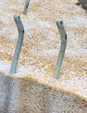 AOAO SAPPOROに投稿された画像（2023/8/6）