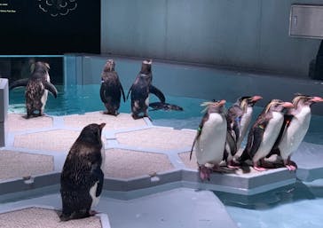 AOAO SAPPOROに投稿された画像（2023/8/6）