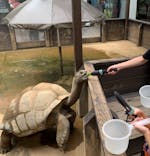 世界淡水魚園水族館　アクア・トトぎふに投稿された画像（2023/8/7）