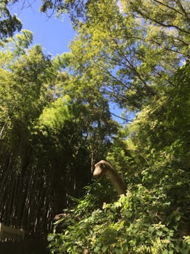 みろくの里に投稿された画像（2023/8/6）