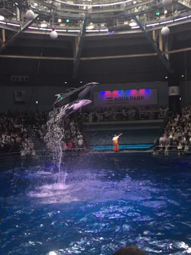 マクセル アクアパーク品川に投稿された画像（2023/8/6）