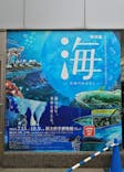 特別展「海　―生命のみなもと―」（国立科学博物館）に投稿された画像（2023/8/7）