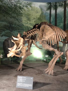 福井県立恐竜博物館に投稿された画像（2023/8/6）