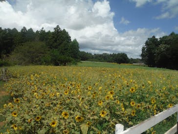 成田ゆめ牧場に投稿された画像（2023/8/6）