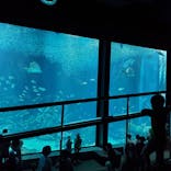 マリンワールド海の中道に投稿された画像（2023/8/7）