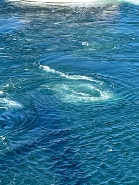 徳島県立 渦の道に投稿された画像（2023/8/7）