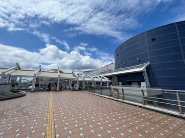 名古屋港水族館に投稿された画像（2023/8/7）