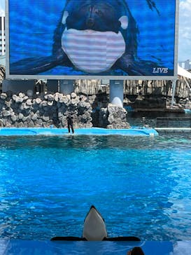 名古屋港水族館に投稿された画像（2023/8/7）