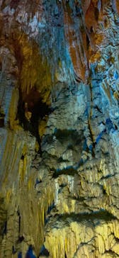 あぶくま洞に投稿された画像（2023/8/7）