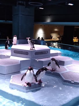 AOAO SAPPOROに投稿された画像（2023/8/7）