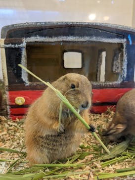 アニタッチみなとみらいに投稿された画像（2023/8/7）