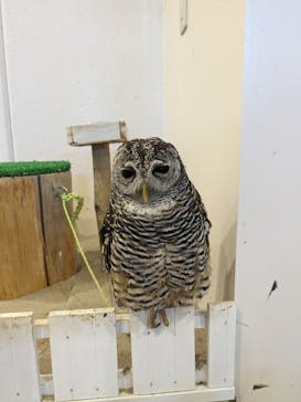 アニタッチみなとみらいに投稿された画像（2023/8/7）