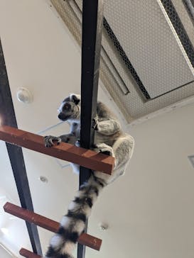 アニタッチみなとみらいに投稿された画像（2023/8/7）