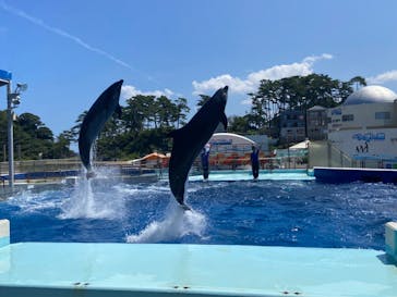 越前松島水族館に投稿された画像（2023/8/7）
