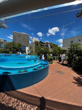 サンシャイン水族館に投稿された画像（2023/8/7）