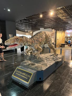 福井県立恐竜博物館に投稿された画像（2023/8/7）