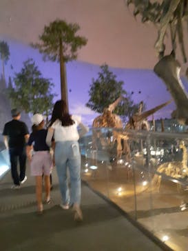 福井県立恐竜博物館に投稿された画像（2023/8/7）