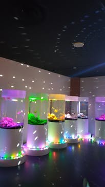 NARA KINGYO MUSEUMに投稿された画像（2023/8/7）