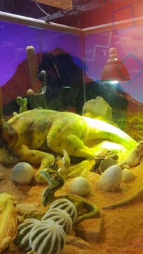 NARA KINGYO MUSEUMに投稿された画像（2023/8/7）