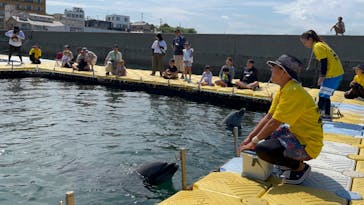 日間賀島ドルフィンビーチに投稿された画像（2023/8/7）