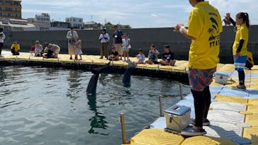 日間賀島ドルフィンビーチに投稿された画像（2023/8/7）