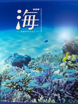 特別展「海　―生命のみなもと―」（国立科学博物館）に投稿された画像（2023/8/7）