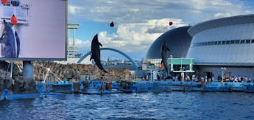 名古屋港水族館に投稿された画像（2023/8/7）