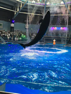 マクセル アクアパーク品川に投稿された画像（2023/8/7）