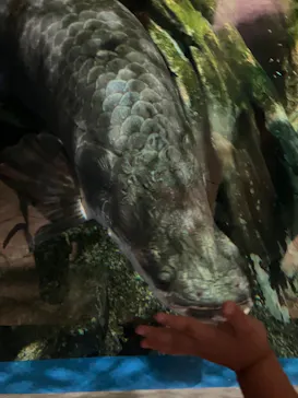 マクセル アクアパーク品川に投稿された画像（2023/8/7）