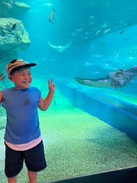 マクセル アクアパーク品川に投稿された画像（2023/8/7）