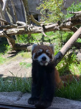 那須どうぶつ王国に投稿された画像（2023/8/7）