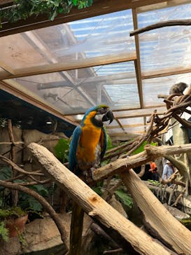 那須どうぶつ王国に投稿された画像（2023/8/7）