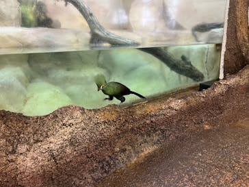 那須どうぶつ王国に投稿された画像（2023/8/7）