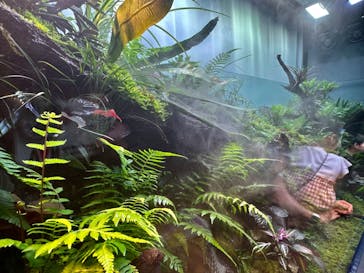 AOAO SAPPOROに投稿された画像（2023/8/7）