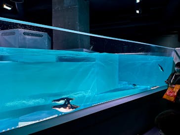 AOAO SAPPOROに投稿された画像（2023/8/7）