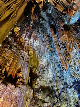 あぶくま洞に投稿された画像（2023/8/7）