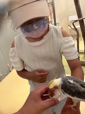 Moff animal cafe イオンモール幕張新都心店に投稿された画像（2023/8/7）