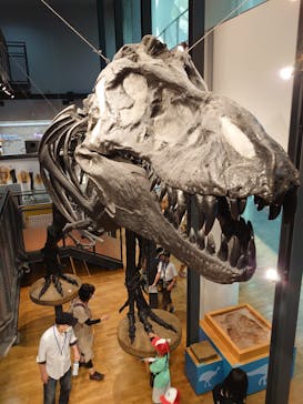 福井県立恐竜博物館に投稿された画像（2023/8/7）