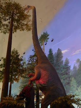 福井県立恐竜博物館に投稿された画像（2023/8/7）