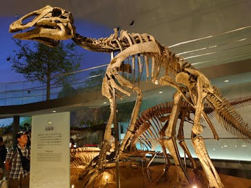 福井県立恐竜博物館に投稿された画像（2023/8/7）