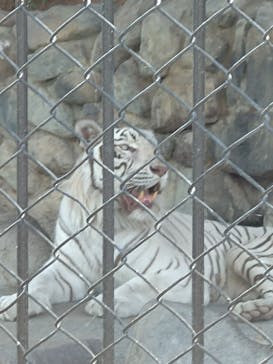 東武動物公園に投稿された画像（2023/8/7）