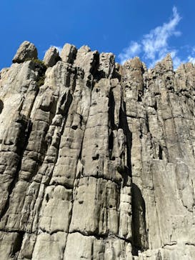 東尋坊観光遊覧船株式会社に投稿された画像（2023/8/7）